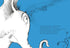 HORTON HEARS A WHO! - DR SEUSS CHILDRENS PICTURE BOOK